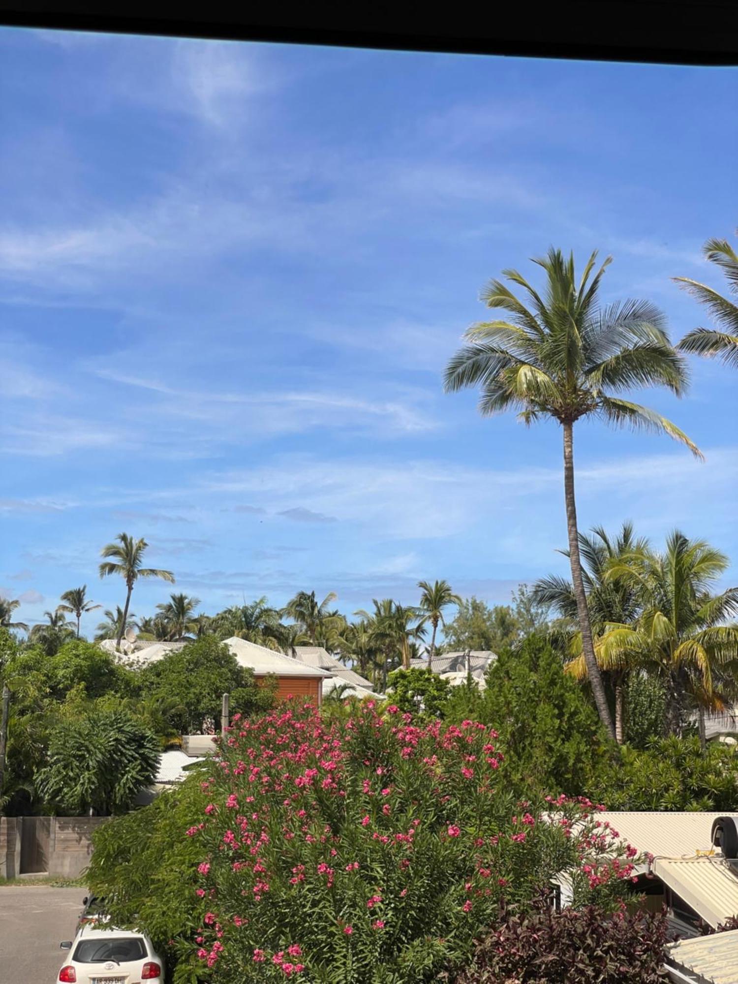 Le Tournesol Apartment La Saline Le Bains Luaran gambar